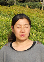 bet365手机网址